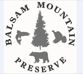 BALSAM MOUNTAIN PRESERVE