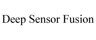 DEEP SENSOR FUSION