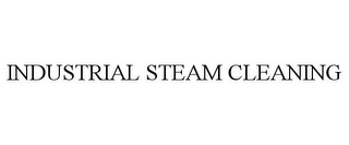 INDUSTRIAL STEAM CLEANING