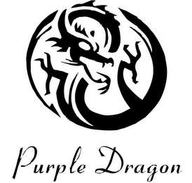 PURPLE DRAGON