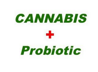 CANNABIS + PROBIOTIC