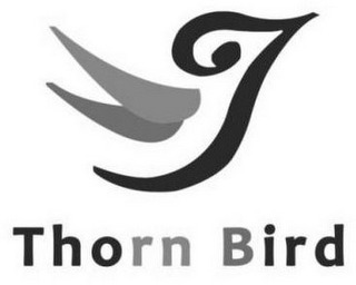 THORN BIRD