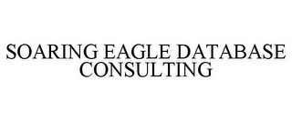 SOARING EAGLE DATABASE CONSULTING