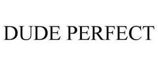 DUDE PERFECT