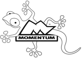 M MOMENTUM