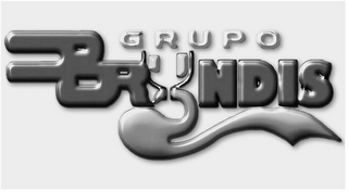 GRUPO BRYNDIS