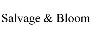 SALVAGE & BLOOM