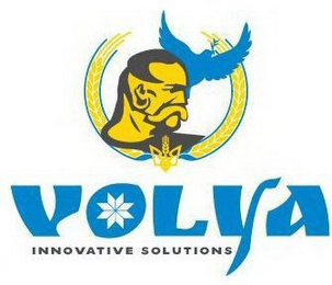 VOLYA INNOVATIVE SOLUTIONS