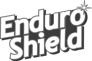 ENDURO SHIELD