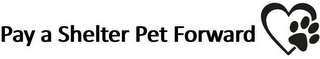 PAY A SHELTER PET FORWARD