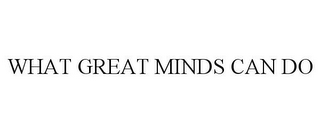 WHAT GREAT MINDS CAN DO