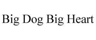 BIG DOG BIG HEART