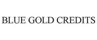 BLUE GOLD CREDITS