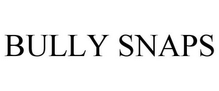 BULLY SNAPS