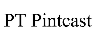 PT PINTCAST