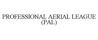 PROFESSIONAL AERIAL LEAGUE (PAL)