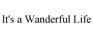 IT'S A WANDERFUL LIFE