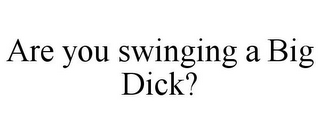 ARE YOU SWINGING A BIG DICK?