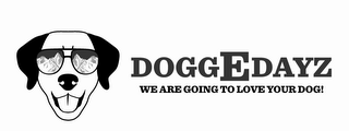DOGGEDAYZ WE ARE GOING TO LOVE YOUR DOG!