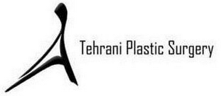 A TEHRANI PLASTIC SURGERY