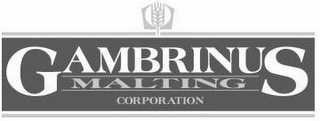 GAMBRINUS MALTING CORPORATION