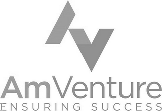 AV AMVENTURE ENSURING SUCCESS