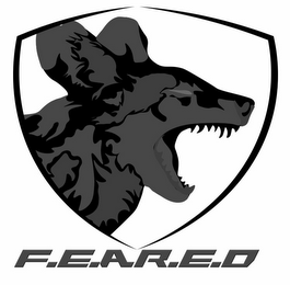 F.E.A.R.E.D