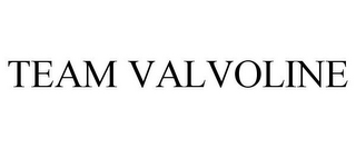 TEAM VALVOLINE