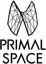 PRIMAL SPACE