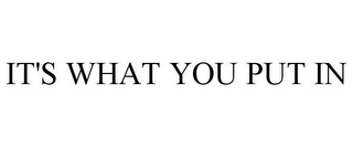 IT'S WHAT YOU PUT IN