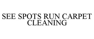 SEE SPOTS RUN CARPET CLEANING