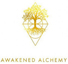 AWAKENED ALCHEMY