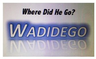 WADIDEGO WHERE DID HE GO?