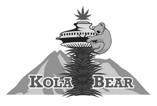 KOLA BEAR