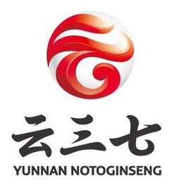 YUNNAN NOTOGINSENG