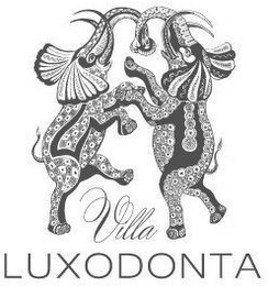 VILLA LUXODONTA