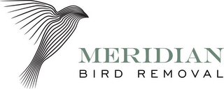 MERIDIAN BIRD REMOVAL