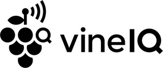 VINE IQ