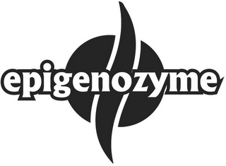 EPIGENOZYME