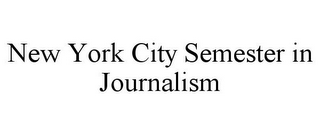 NEW YORK CITY SEMESTER IN JOURNALISM