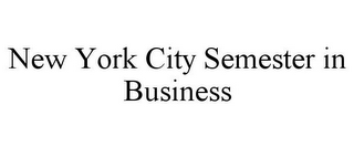 NEW YORK CITY SEMESTER IN BUSINESS