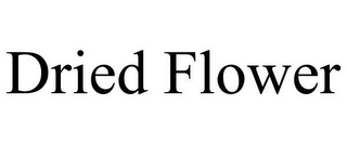 DRIED FLOWER