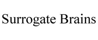 SURROGATE BRAINS