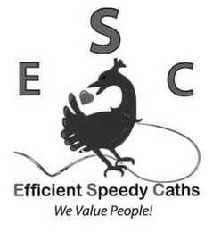 ESC EFFICIENT SPEEDY CATHS WE VALUE PEOPLE!