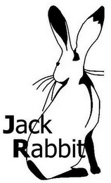 JACK RABBIT