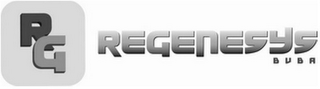 RG REGENESYS BVBA