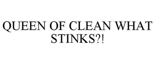 QUEEN OF CLEAN WHAT STINKS?!