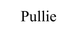 PULLIE