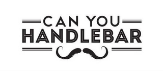 CAN YOU HANDLEBAR