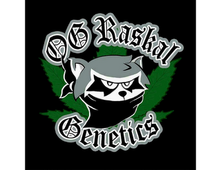 OG RASKAL GENETICS